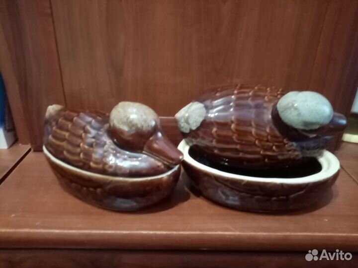 Рыбница, утки