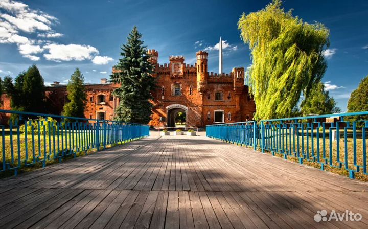 Турне в Belarus от 6 дн