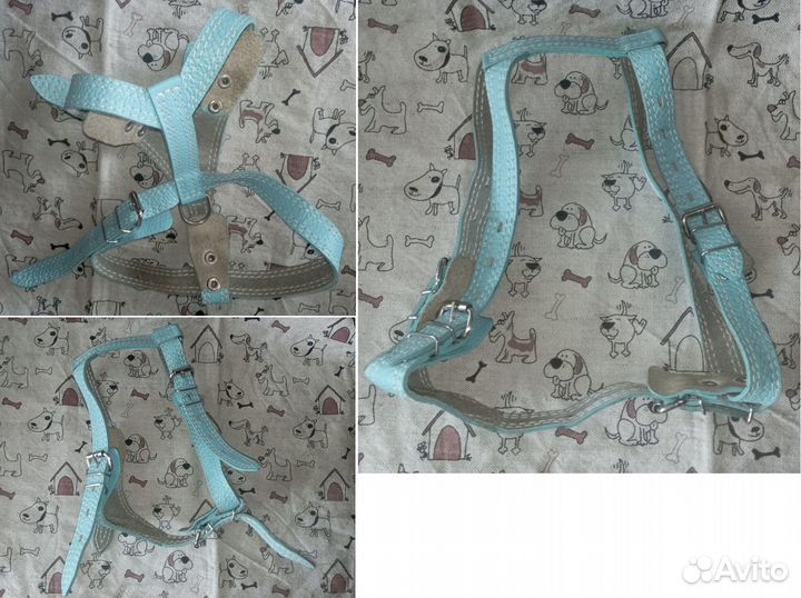 Бассейн,ботинки,миски,ошейники,шлейки,намордники