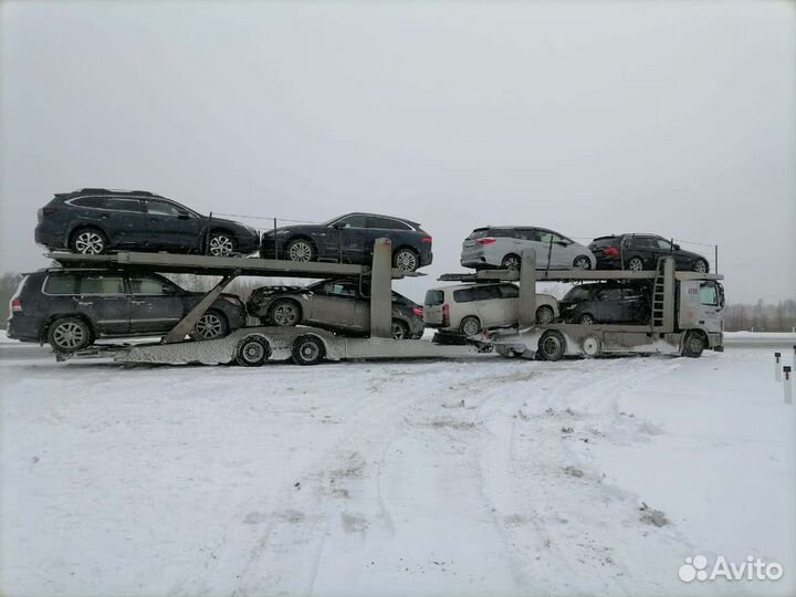 Перевозка Авто Автовозом Омск-Красноярск 19.07