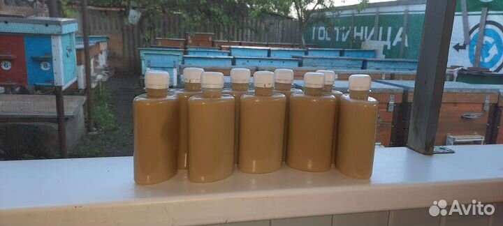 Трутневый гомогенат