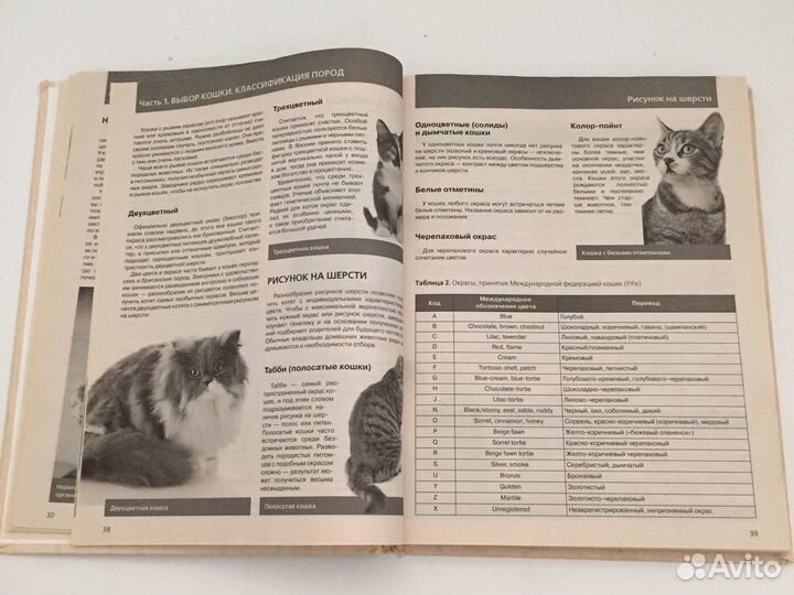 Энциклопедия все о Домашних Кошках