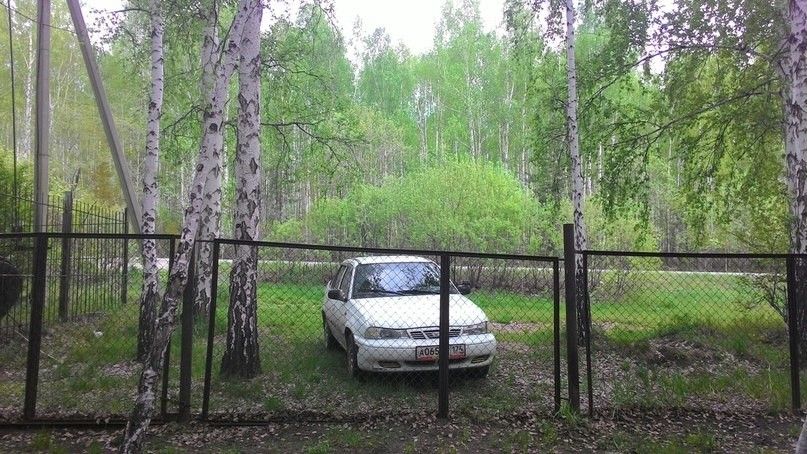 Daewoo Nexia: фото владельца