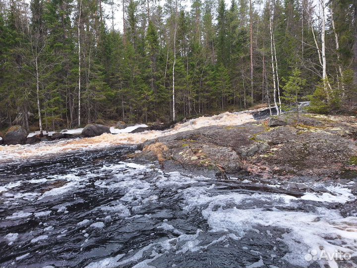 Сплав по реке Лоймола