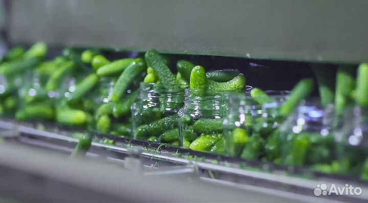 Упаковщик овощей. Вахта