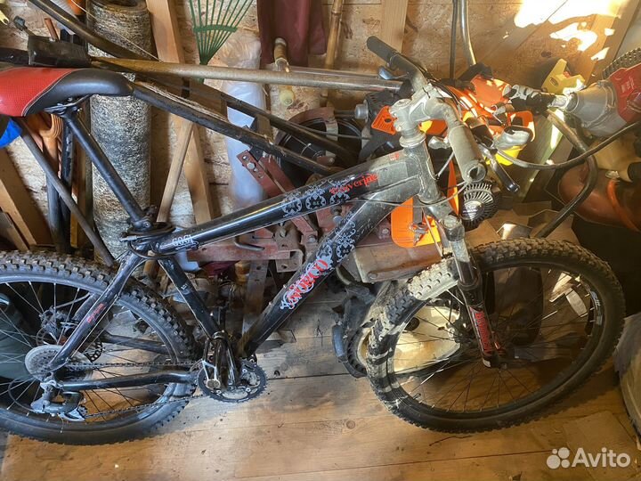 Norco wolweraine