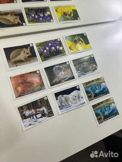 Наклейки монетка коллекционные