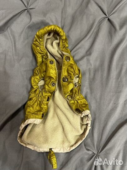 Одежда для собак