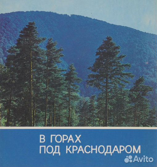 В горах под Краснодаром Год выпуска 1980г.Автор:Ти