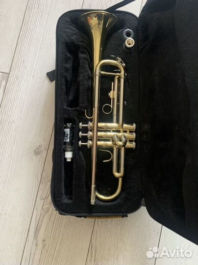 Труба духовая музыкальная prelude by Bach