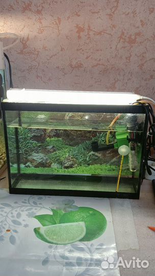 Аквариум