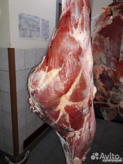 Мясо оптом
