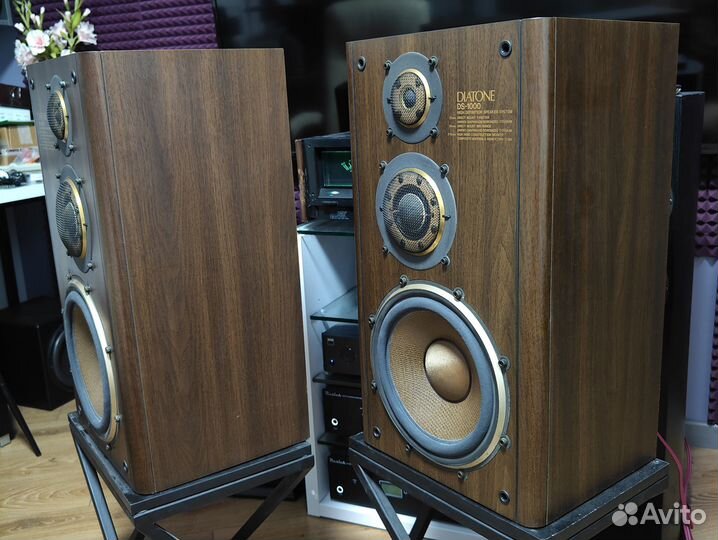 Акустическая система Diatone DS-1000