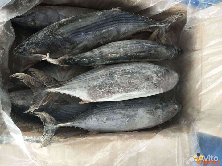 Замороженная рыба