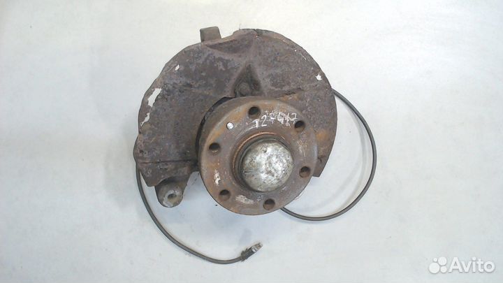 Ступица (кулак, цапфа) Iveco Daily 4, 2008