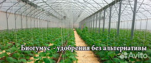 Элитное удобрение биогумус вермикомпост биогумат