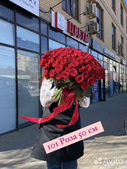 Красная роза. Цветы