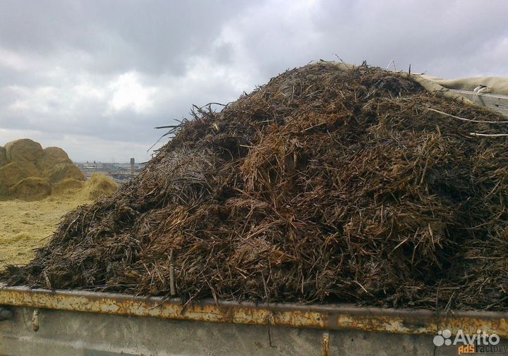 Конский навоз + коровий