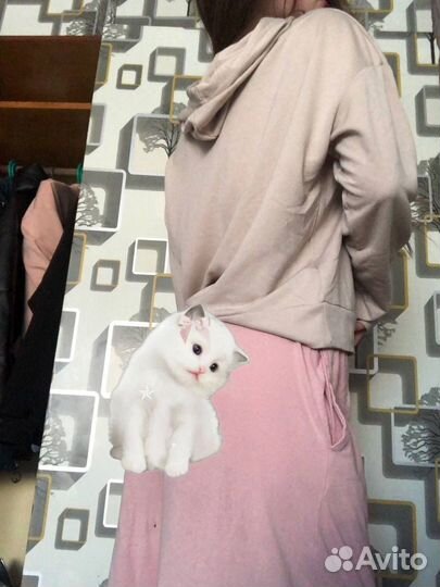 Худи женское, легкое, 42-44, бежевое