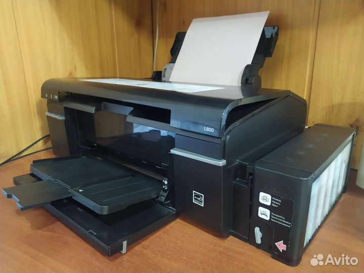 Epson l800