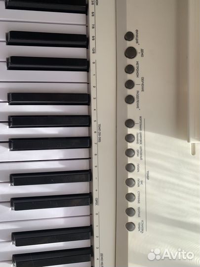 Цифровое пианино tesler