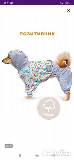 Костюм для животных