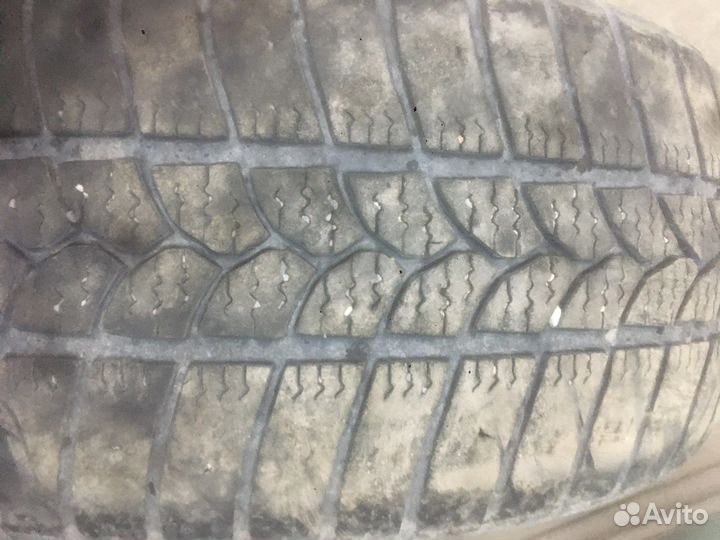 Tigar Ice 195/55 R15 H