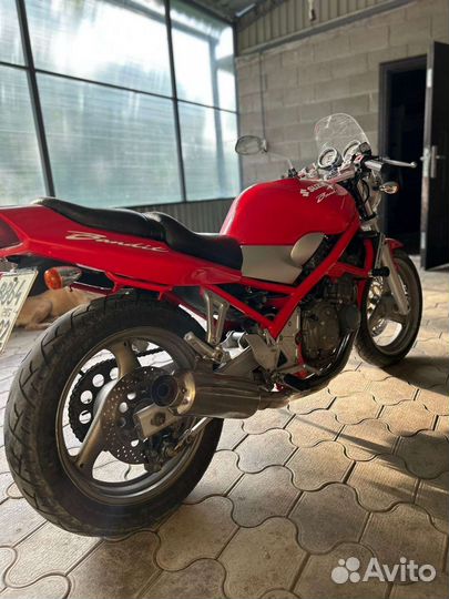 Suzuki bandit