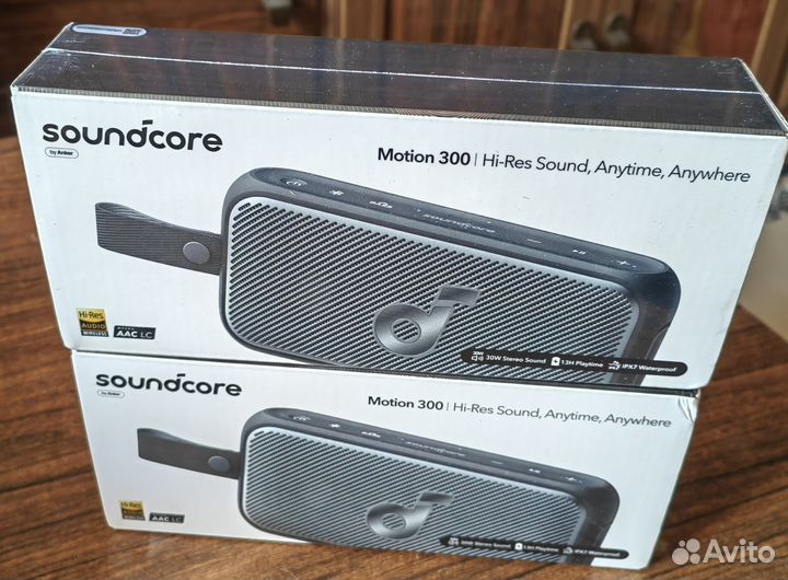 Anker Soundcore Motion 300