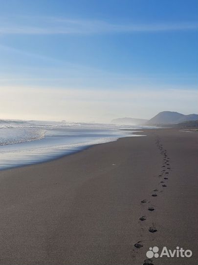 Путешествия