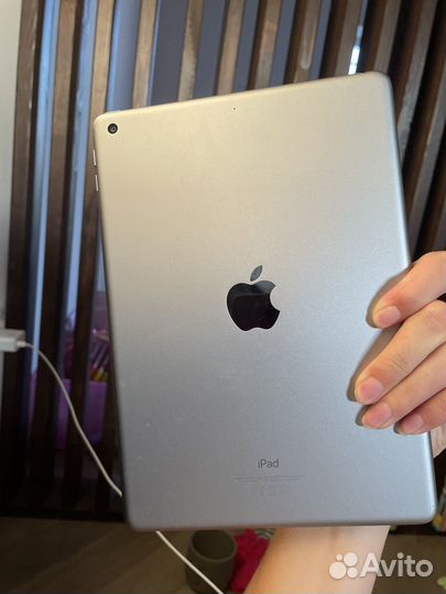 iPad