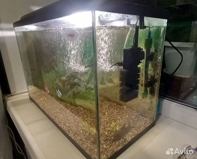 Аквариум с рыбками