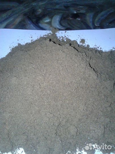 Рыбная Мука Оптом и в Розницу