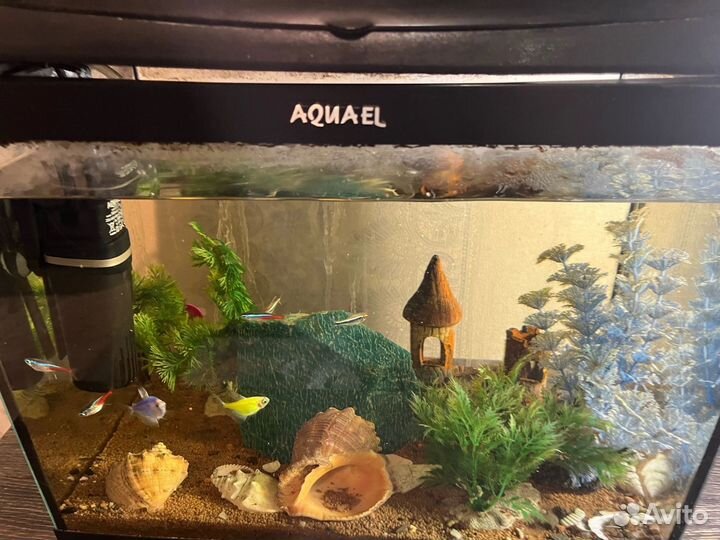 Украшение для аквариума
