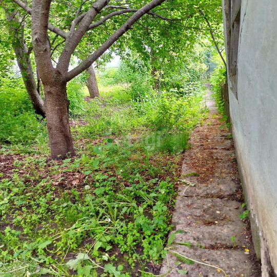 Участок 5,9 сот. (ИЖС)