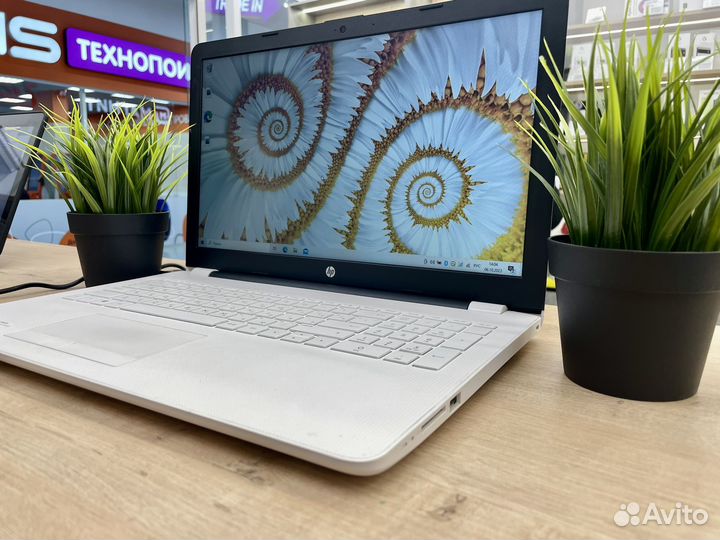 Белоснежный ноутбук HP 8gb/SSD 240Gb