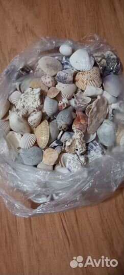 Камни и ракушки для аквариума