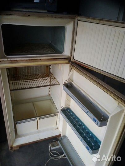 Холодильник чинара