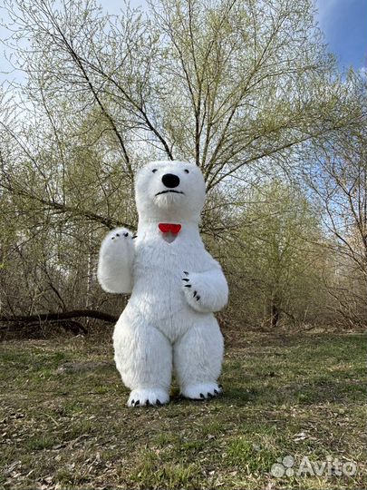 Поздравление медведь