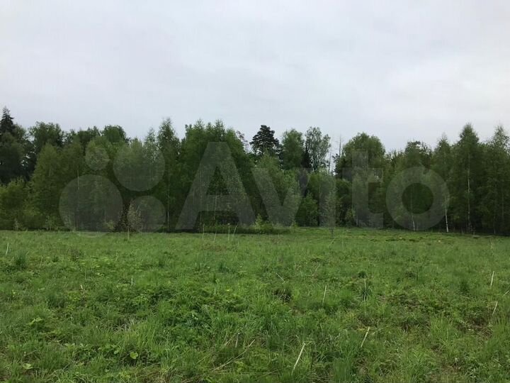 Участок 10 сот. (ИЖС)