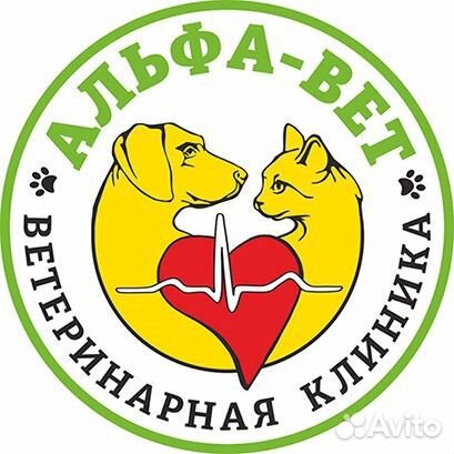 Ассистент ветеринарного врача
