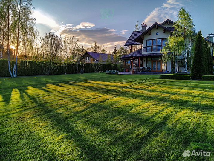 Газон рулонный с поля