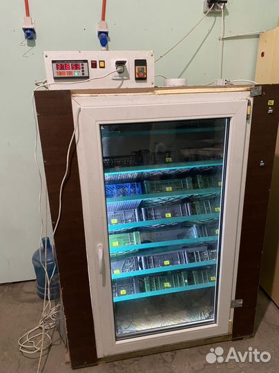 Перепелиная ферма