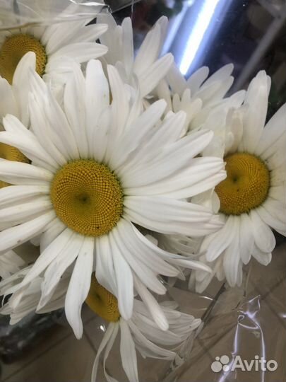 Искусственные цветы