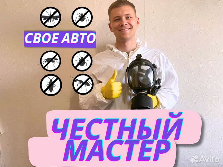 Уничтожение плесени, тараканов, блох. Дезинфекция