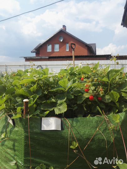 Чехол для багажника авто