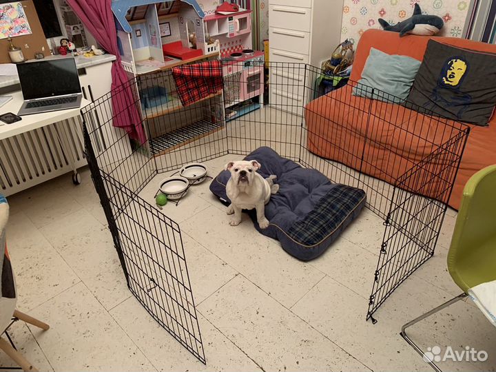 Вольер для собак MidWest