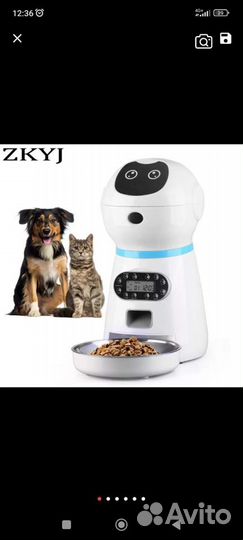 Умная автоматическая кормушка для животных