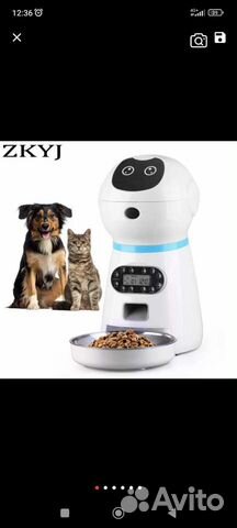 Умная автоматическая кормушка для животных