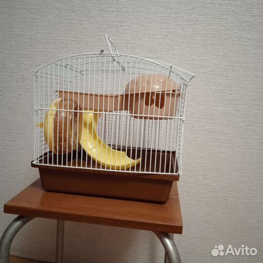 Клетка для грызунов